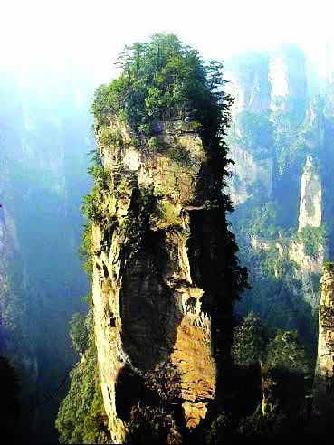 張家界國(guó)家地質(zhì)森林公園、黃石寨、金鞭溪休閑一日游