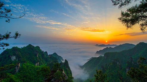 張家界森林公園（金鞭溪、袁家界、楊家界、天子山、十里畫廊）住山上2天1游（可看日出）